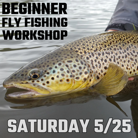 Beginner Fly Fishing Workshop - 5/25