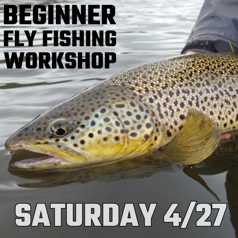 Beginner Fly Fishing Workshop - 4/27