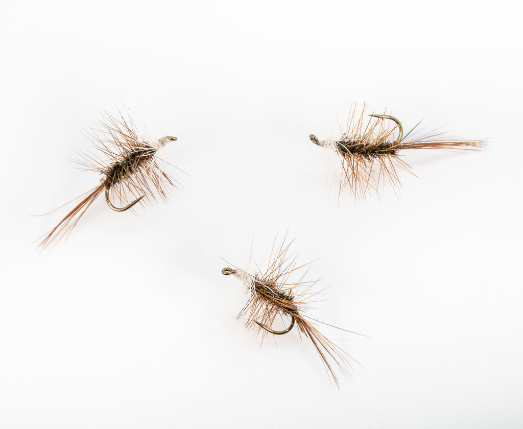 Katterman – Dette Flies