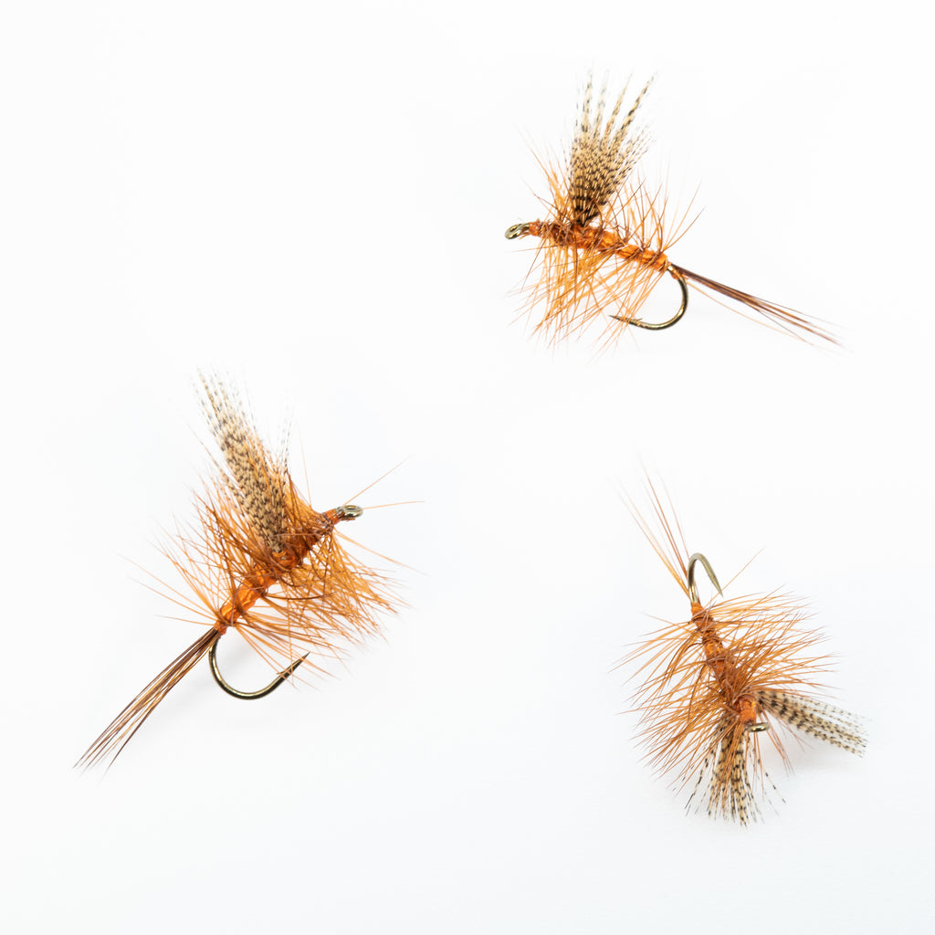 Catskill Dry Fly - Main Image