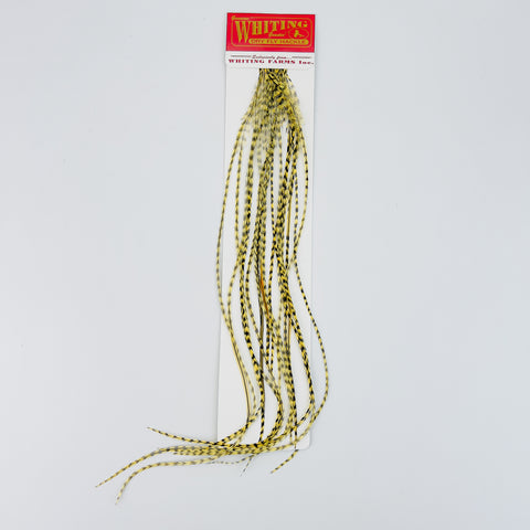 Whiting 100 Pack - Grizzly dyed Pale Yellow