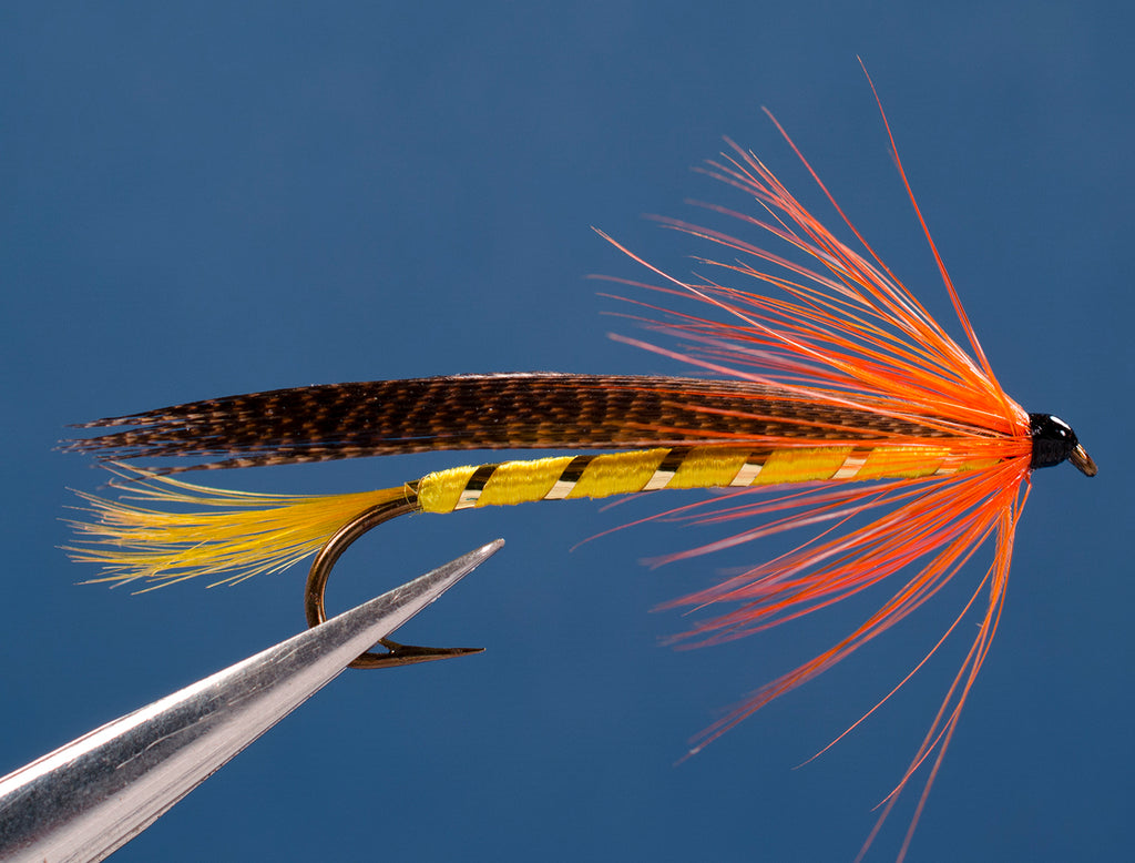 Golden Demon Steelhead Fly, Fly of the Month