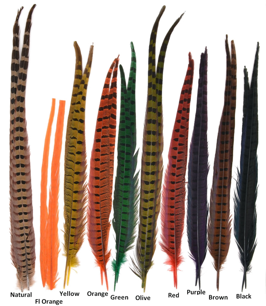 Ringneck Pheasant Feathers 4/Pkg-Natural, Pk 3, Midwest Design