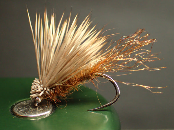 X-Caddis by Nicole March