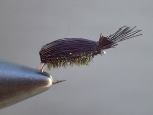 Dette Beetle by Nicole March