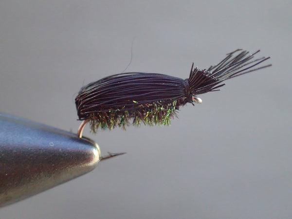 Dette Beetle by Nicole March