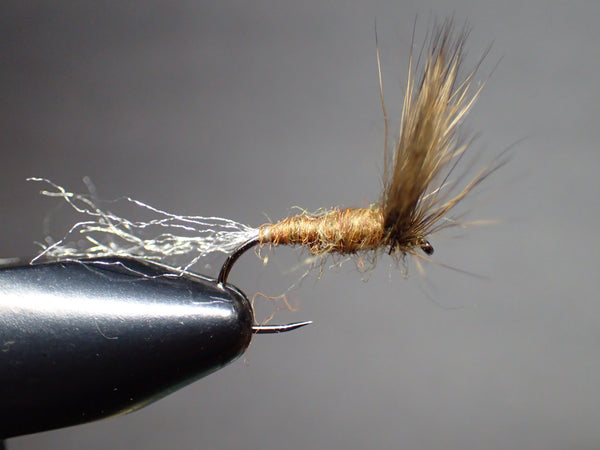 Sparkle Dun by Nicole March