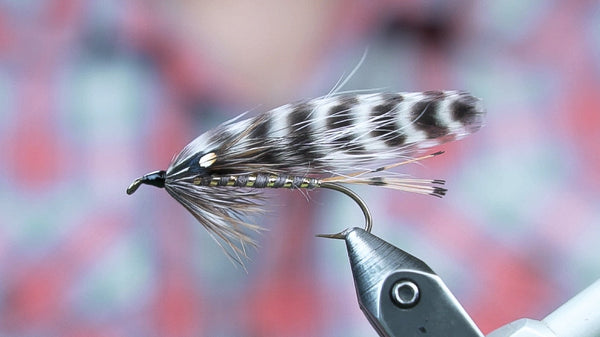 Adams Streamer