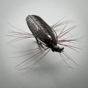 A Wonder Wing Early Season Stonefly - By Bob Adams