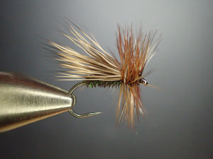 Peacock Caddis by Nicole March
