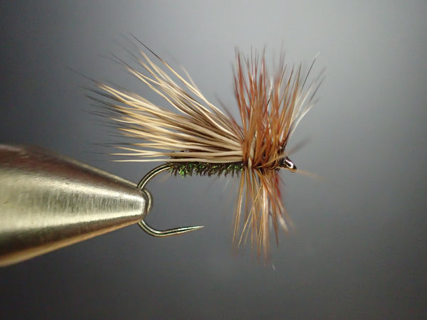 Peacock Caddis by Nicole March