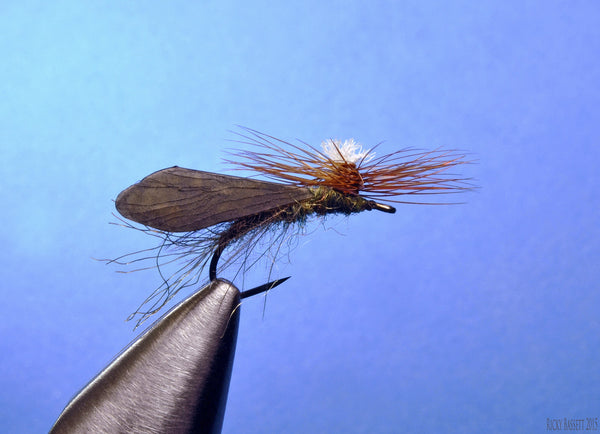 Reel Wings Parachute Caddis by Ricky Bassett