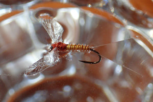 Reel Wings Spinner by Nicole March