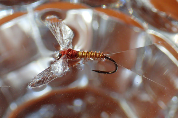 Reel Wings Spinner by Nicole March