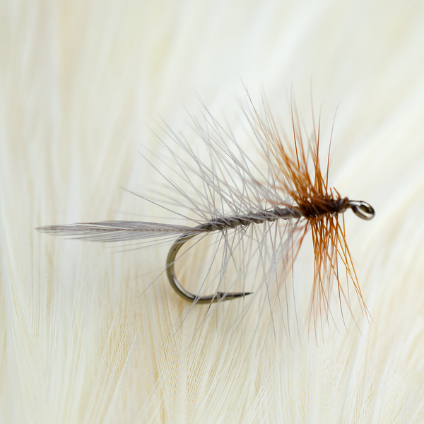 Red Front Grey Palmer