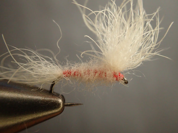 The Usual by Nicole March