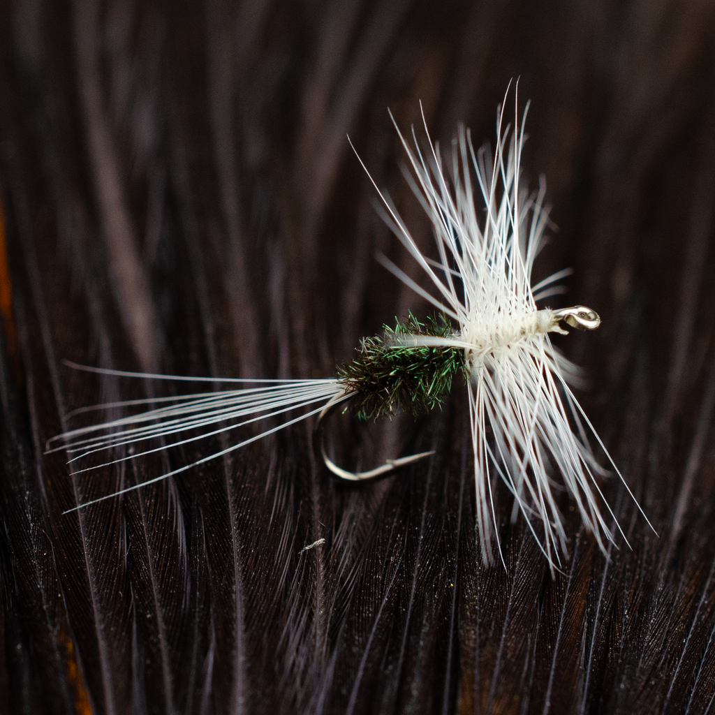 White Hackle