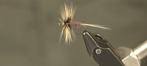 Tying the Conover