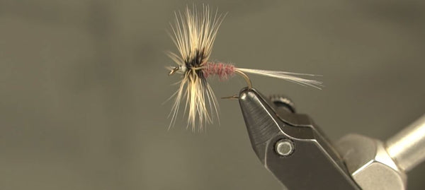 Tying the Conover