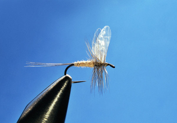 Reel Wings Hendrickson by Ricky Bassett