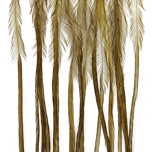 MFC Whiting 100 Pack - Dark Olive