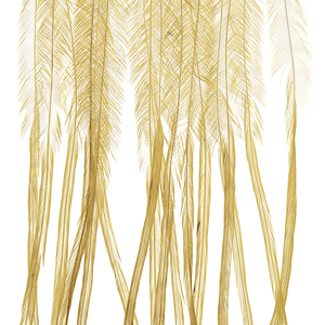 MFC Whiting 100 Pack - Light Ginger