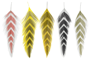 Galloup's Fish Feathers - Arrowhead
