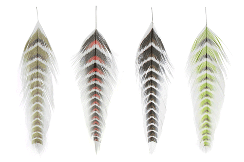 MFC Galloup's Fish Feathers - Grizzled