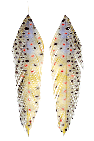 Galloup's Fish Feathers