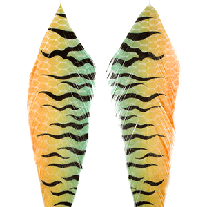 Galloup's Fish Feathers