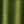 Polyester 14/0 Thread