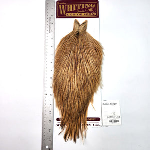 Golden Badger - Whiting Coq de Leon Rooster Cape