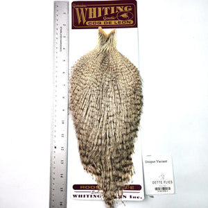 Unique Variant - Whiting Coq de Leon Rooster Cape