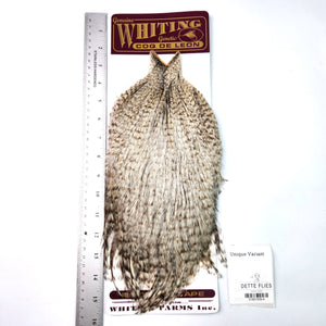 Unique Variant - Whiting Coq de Leon Rooster Cape