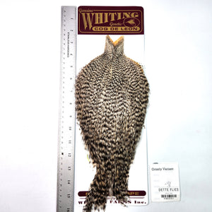 Grizzly Variant - Whiting Coq de Leon Rooster Cape