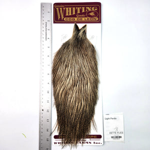 Light Pardo - Whiting Coq de Leon Rooster Cape