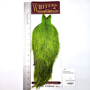 Badger dyed Fl Green Chartreuse - Whiting Coq de Leon Rooster Cape