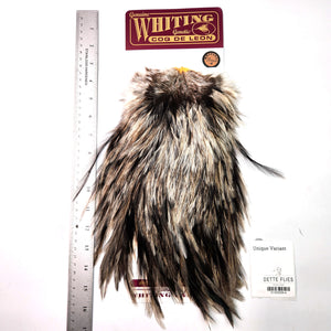 Unique Variant - Whiting Coq de Leon Rooster Saddle | Bronze Grade