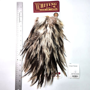 Unique Variant - Whiting Coq de Leon Rooster Saddle | Bronze Grade (#5)