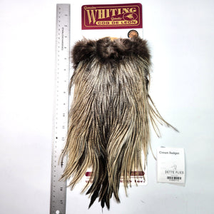 Cream Badger - Whiting Coq de Leon Rooster Saddle | Bronze Grade (#2)