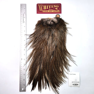 Dark Pardo - Whiting Coq de Leon Rooster Saddle | Bronze Grade (#2)