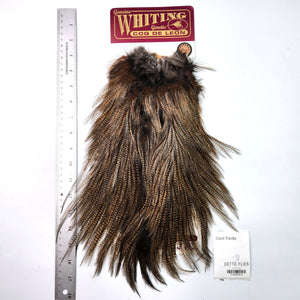 Dark Pardo - Whiting Coq de Leon Rooster Saddle | Bronze Grade (#3)