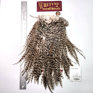 Grizzly Pardo - Whiting Coq de Leon Rooster Saddle | Bronze Grade (#3)