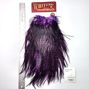 Grizzly dyed Purple - Whiting Coq de Leon Rooster Saddle | Bronze Grade (#2)