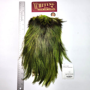 Badger dyed Fl Green Chartreuse - Whiting Coq de Leon Rooster Saddle | Bronze Grade (#1)