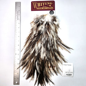 Unique Variant - Whiting Coq de Leon Rooster Saddle | Silver Grade (#5)