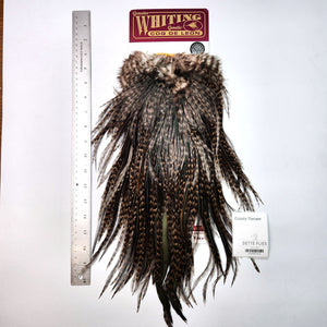 Grizzly Variant - Whiting Coq de Leon Rooster Saddle | Silver Grade (#3)