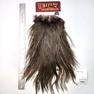 Dark Pardo - Whiting Coq de Leon Rooster Saddle | Silver Grade (#2)