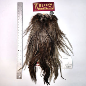 Dark Pardo - Whiting Coq de Leon Rooster Saddle | Silver Grade (#3)