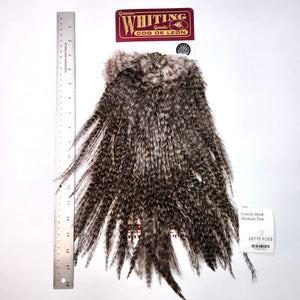 Grizzly dyed Medium Dun - Whiting Coq de Leon Rooster Saddle | Silver Grade (#3)